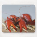 Suche nach fokus mousepads Frische