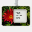 Suche nach teppich ornamente Blume