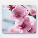 Suche nach blühender baum mousepads Blume