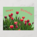 Suche nach lila tulpe Jede person