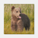 Suche nach babybär magnete Bären