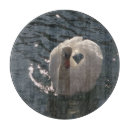 Suche nach schwan schneidebrettchen Jede person