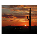 Suche nach saguaro cactus poster Natur