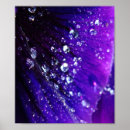 Suche nach wassertropfen poster Regen