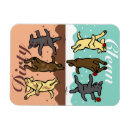 Suche nach tanzende magnete Für sie