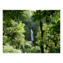 Suche nach rainforest poster Natur