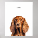 Suche nach irischer setter poster Niedlich