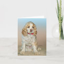 Suche nach cocker spaniel karten Cocktail