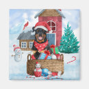 Suche nach rottweiler hund magnete Tier