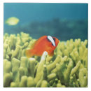 Suche nach korallenriff fliesen Natur