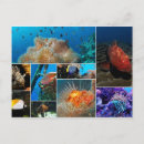 Suche nach unterwasserwelt postkarten Jede person