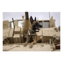 Suche nach arbeitend poster Fotografie