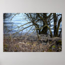 Suche nach alter baum poster Natur