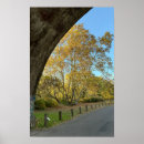 Suche nach herbstbaum poster Natur