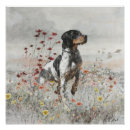 Suche nach die bretagne poster Spaniel
