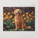 Suche nach goldener retriever postkarten Jede person