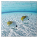 Suche nach mit fischen fliesen Natur