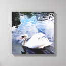 Suche nach schwan leinwandbilder Natur