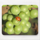 Suche nach grüne trauben mousepads Weingut