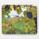 Suche nach toskana mousepads Kurz