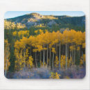 Suche nach colorado mousepads Espe