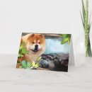 Suche nach maya karten Hund