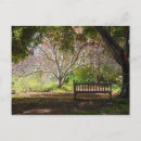 Suche nach banken postkarten Bäume