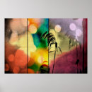 Suche nach drama poster Rosa