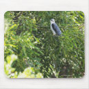 Suche nach eule im baum mousepads Natur