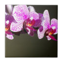 Suche nach tropische orchideen fliesen Rosa