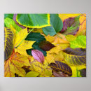 Suche nach bio muster poster Herbst