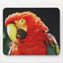 Suche nach grüner vogel mousepads Jede person