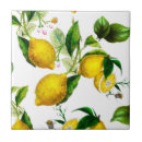 Suche nach zitrusfrucht fliesen Zitrusfrüchte