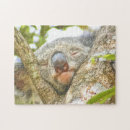 Suche nach koala puzzle Australie