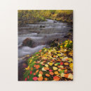 Suche nach trennung puzzle Reichlich