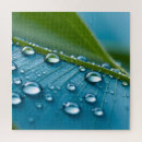 Suche nach regentropfen puzzle Blätter