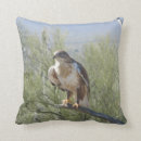 Suche nach falken kissen Natur