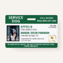 Suche nach grünes rechteck Logo