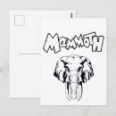 Suche nach wollig postkarten Elefant