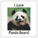 Suche nach kleiner panda aufkleber Jede person