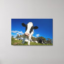 Suche nach weide leinwandbilder Landwirtschaft