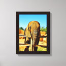 Suche nach tier freundlich kunst Foto