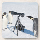 Suche nach fotograf untersetzer Natur