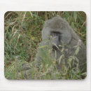 Suche nach pavian mousepads Natur