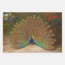 Suche nach vintager pfau geschenkpapier Entmutigen