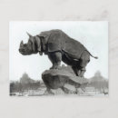 Suche nach schwarzes nashorn postkarten Tier