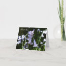 Suche nach bluebells Waldland