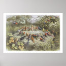 Suche nach doyle poster Illustrationen