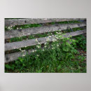 Suche nach zaun poster Natur