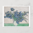 Suche nach schwertlilie postkarten Blume